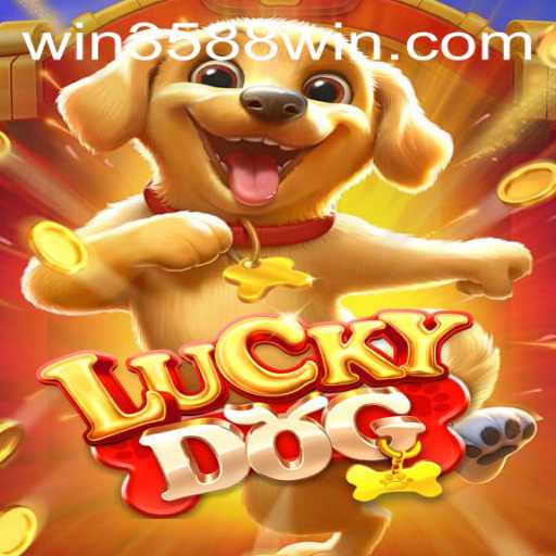 Baccarat games